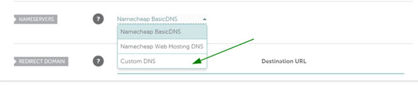 select Custom DNS from the drop-down menu.