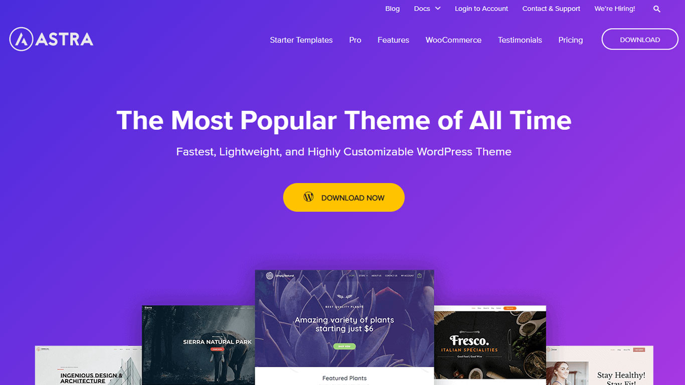 Astra wordpress theme