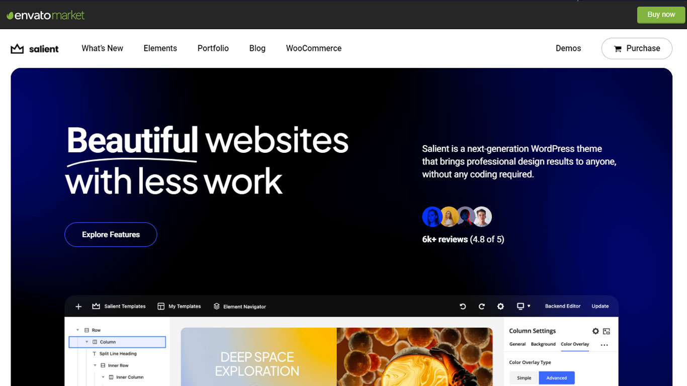 Salient Wordpress Theme